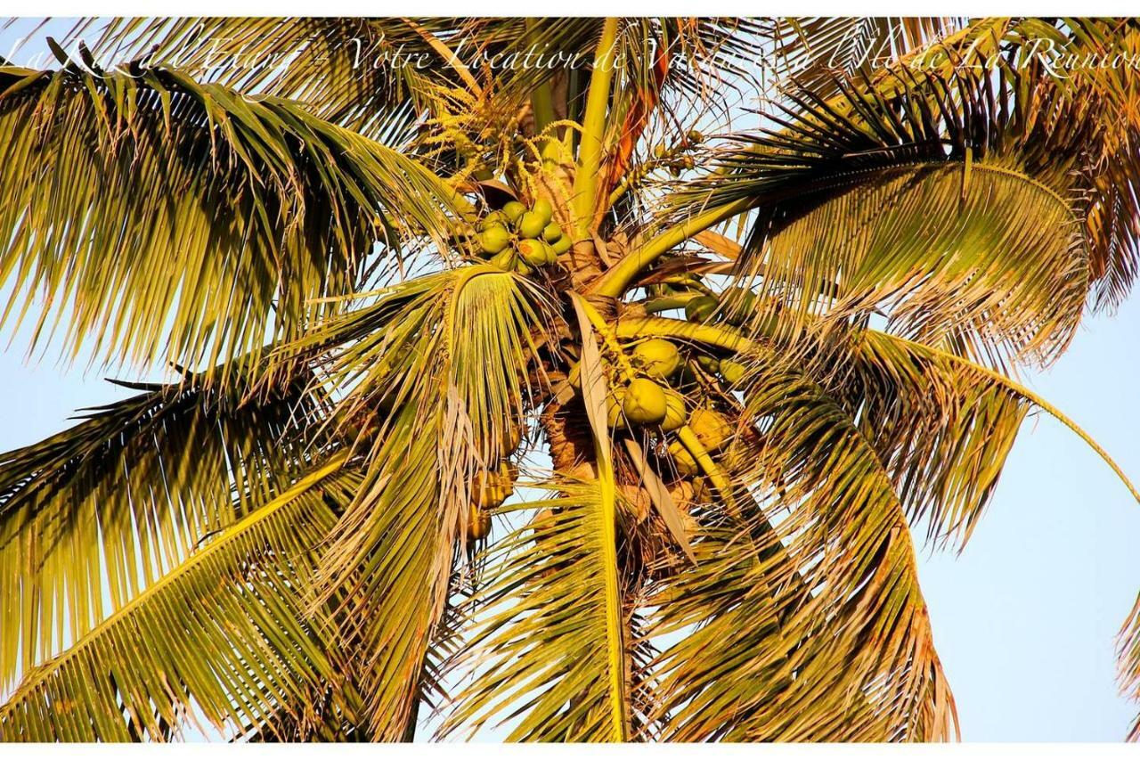 La Kaz A L'Etang - Votre Location De Vacances A L'Ile De La Reunion Saint-Louis Zewnętrze zdjęcie