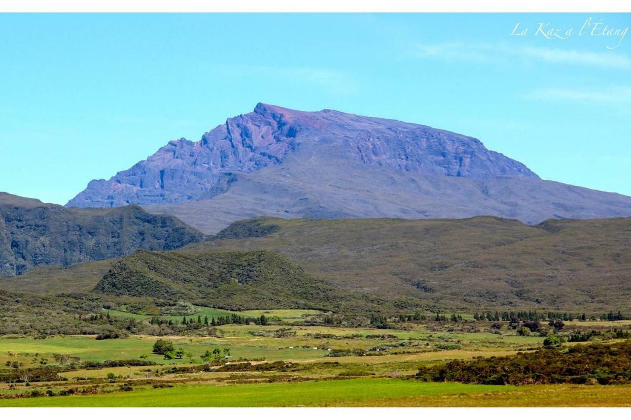 La Kaz A L'Etang - Votre Location De Vacances A L'Ile De La Reunion Saint-Louis Zewnętrze zdjęcie
