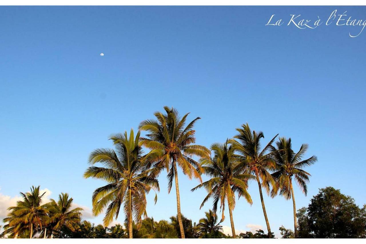 La Kaz A L'Etang - Votre Location De Vacances A L'Ile De La Reunion Saint-Louis Zewnętrze zdjęcie